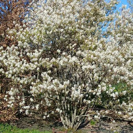 La Grange De Noelie Lanuejouls-et-Privezac