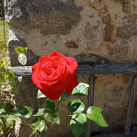 La Grange De Noelie Oda ve Kahvaltı Lanuejouls-et-Privezac