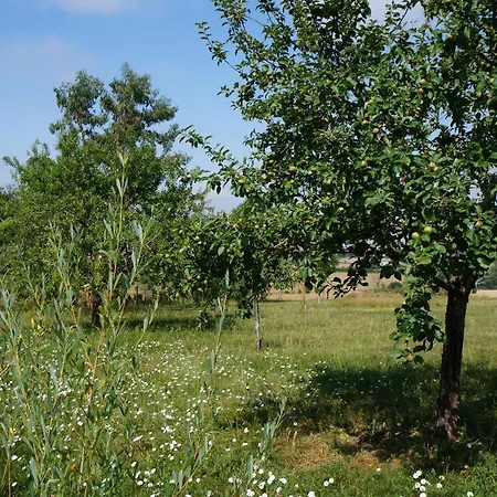 Oda ve Kahvaltı La Grange De Noelie 3*